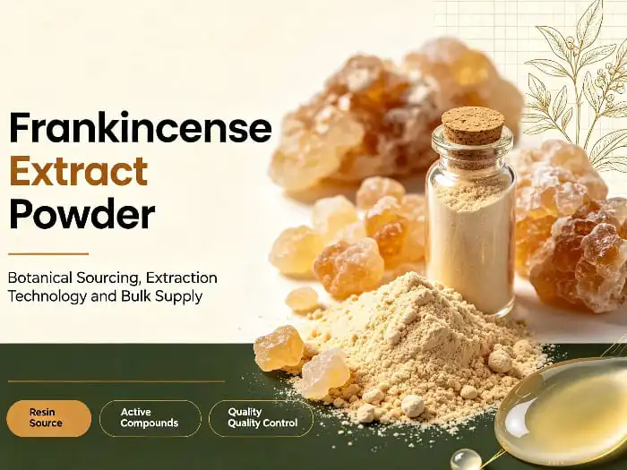 How Do Manufacturers Select Reliable Bulk Boswellia Serrata Extract Suppliers?